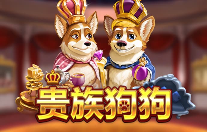 速球吧直播app官方下载手机版
